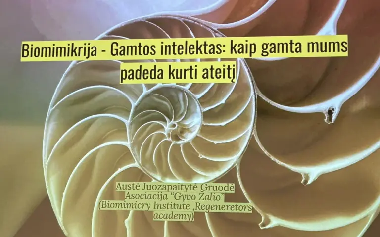 Nuotrauka 4: Žemės dienos renginiai mūsų gimnazijoje