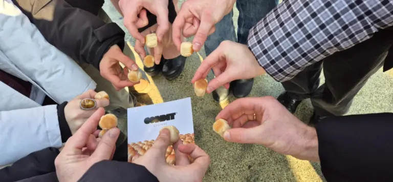 Nuotrauka 3: ERASMUS+ su Modellschule Obersberg, Vokietija