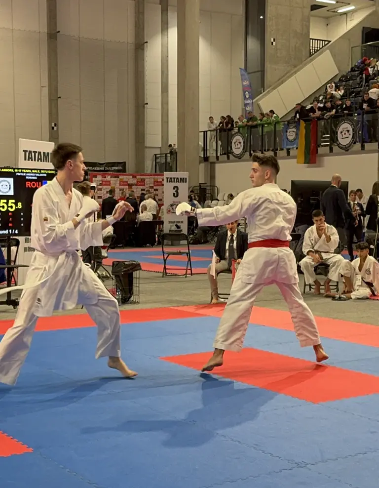 Nuotrauka 1: Juliaus Janonio gimnazijoje mokosi pasaulio karate čempionas!