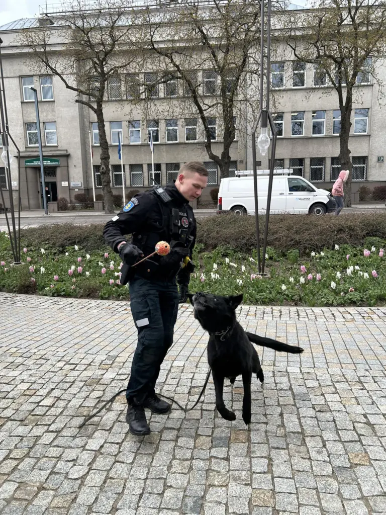 Nuotrauka 2: Atvirų durų diena Šiaulių apskrities policijoje