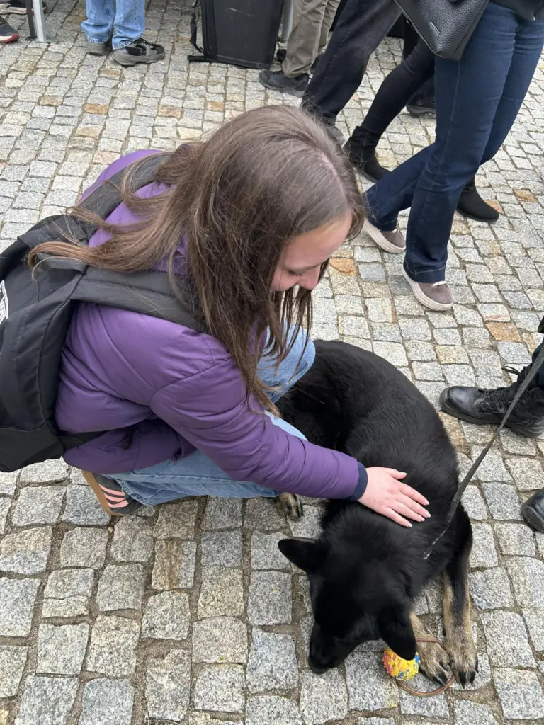 Nuotrauka 1: Atvirų durų diena Šiaulių apskrities policijoje