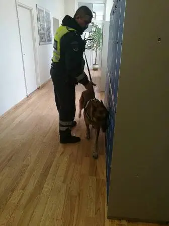 Gimnazijoje lankėsi kinologai